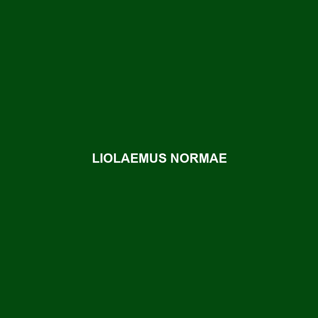 Liolaemus normae