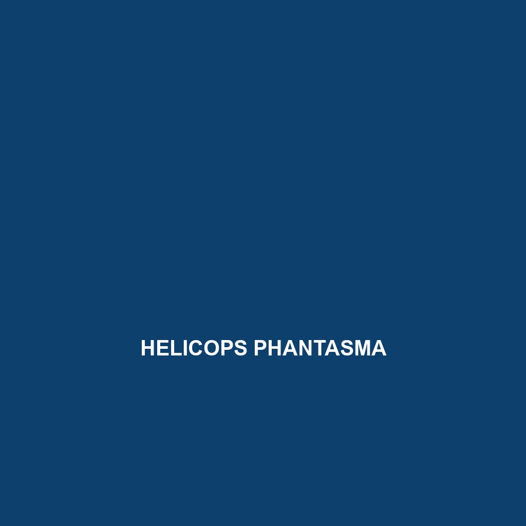 Helicops phantasma