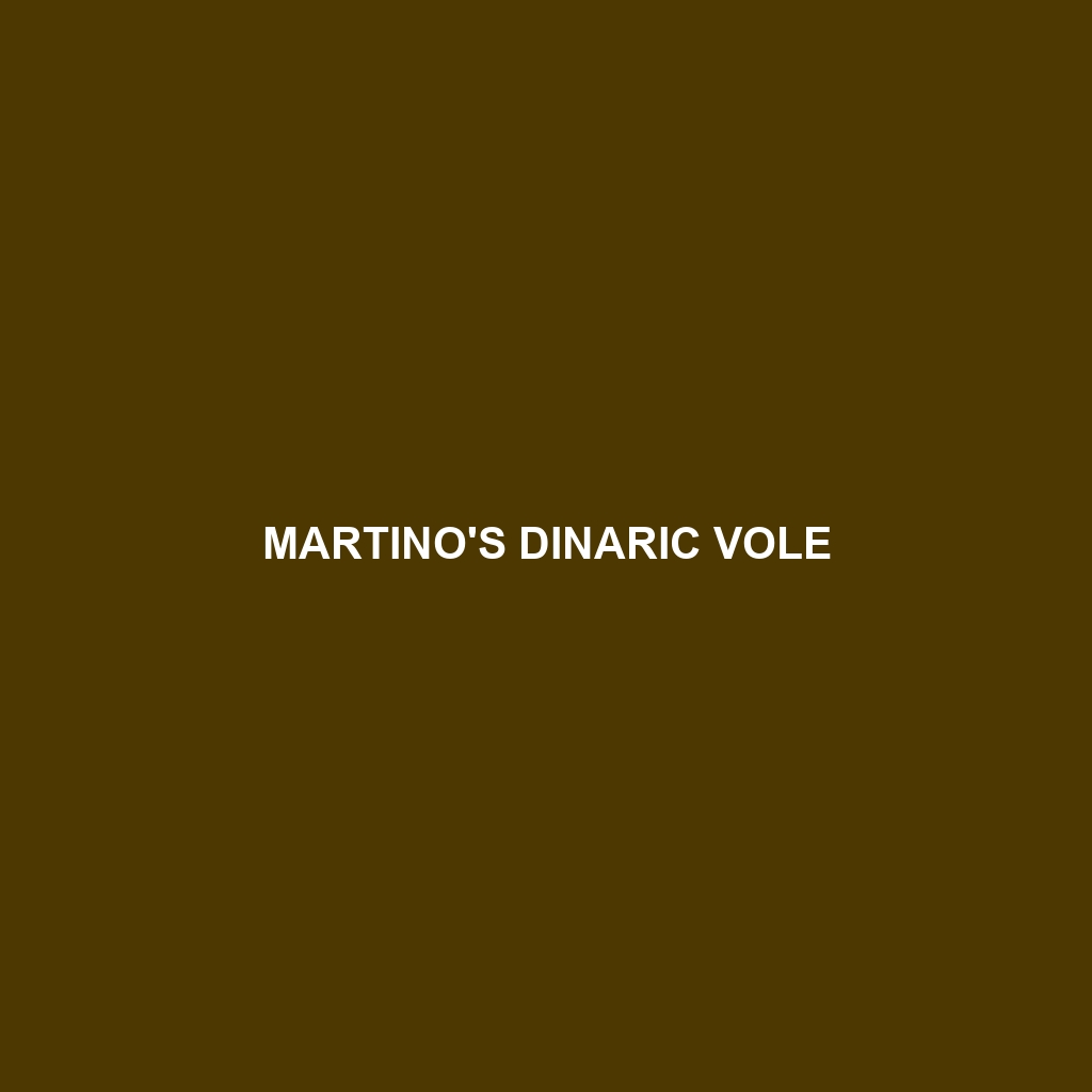 Martino's Dinaric Vole