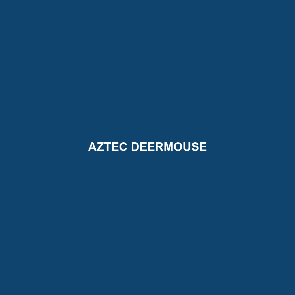 Aztec Deermouse