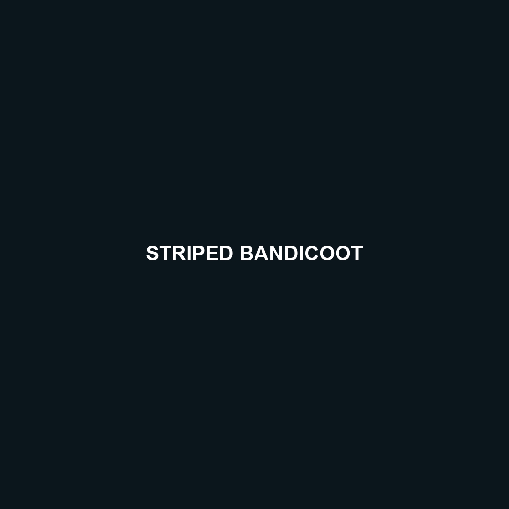 Striped Bandicoot