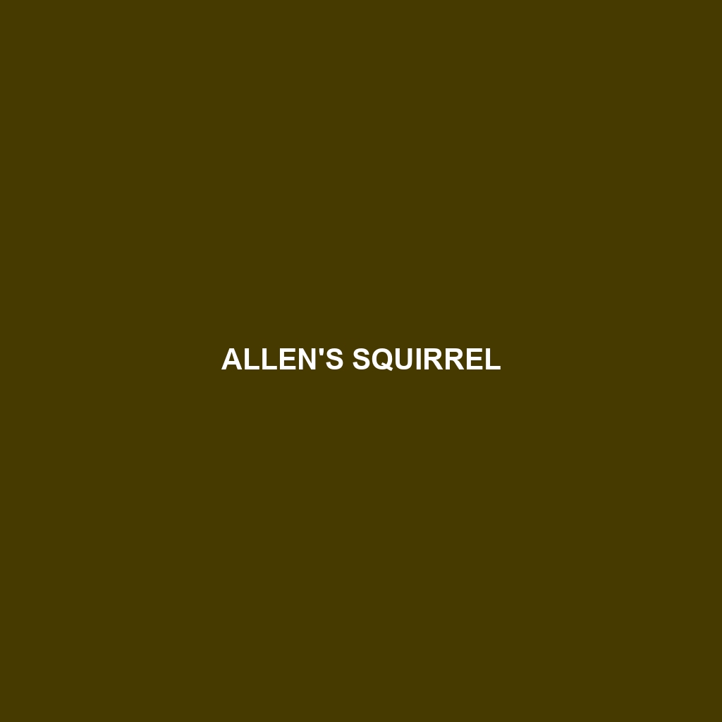 Allen's Squirrel