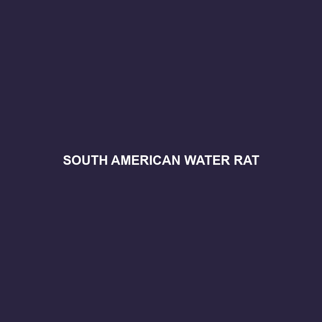 Trinidad Water Rat