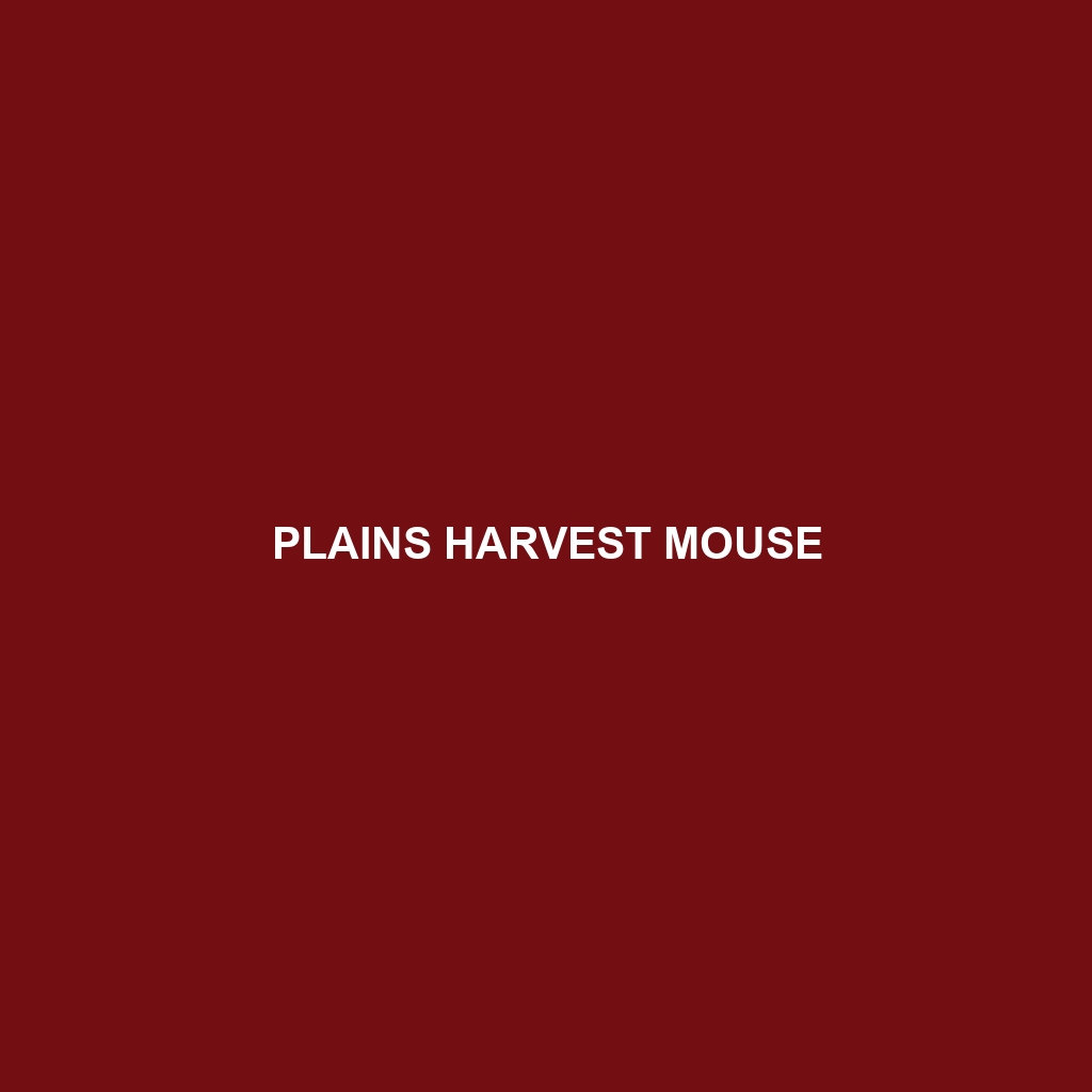 Plains Harvest Mouse