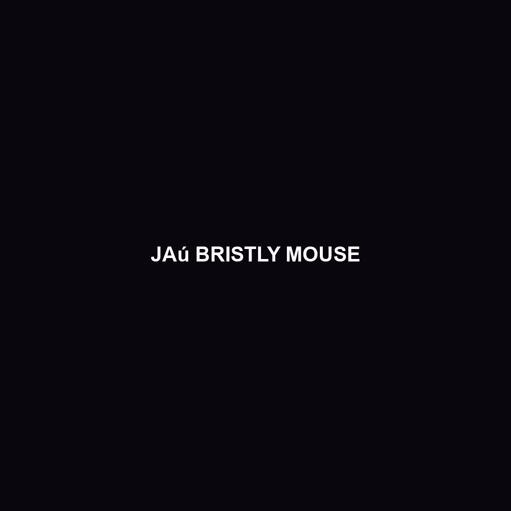 Jaú Bristly Mouse