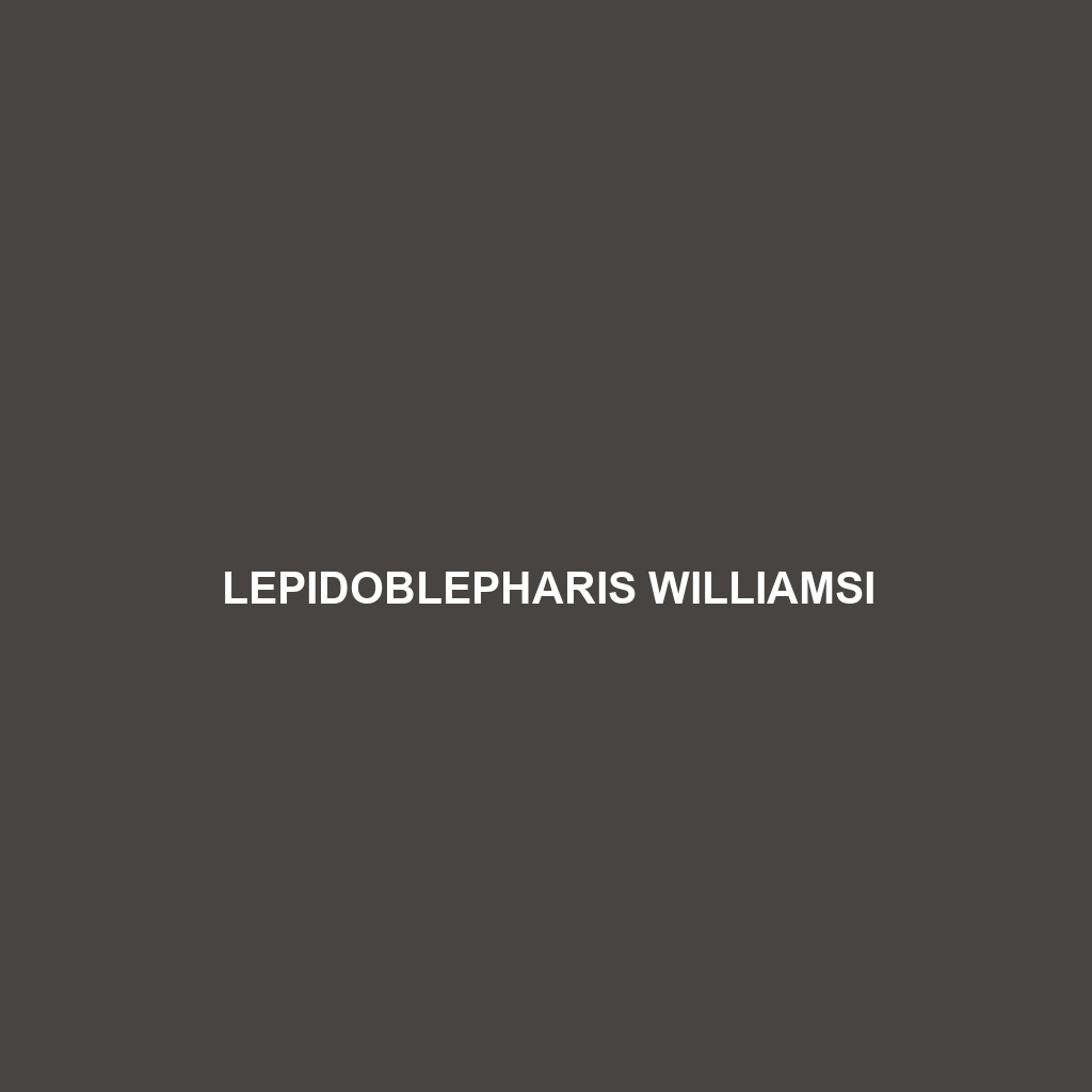 Lepidoblepharis williamsi