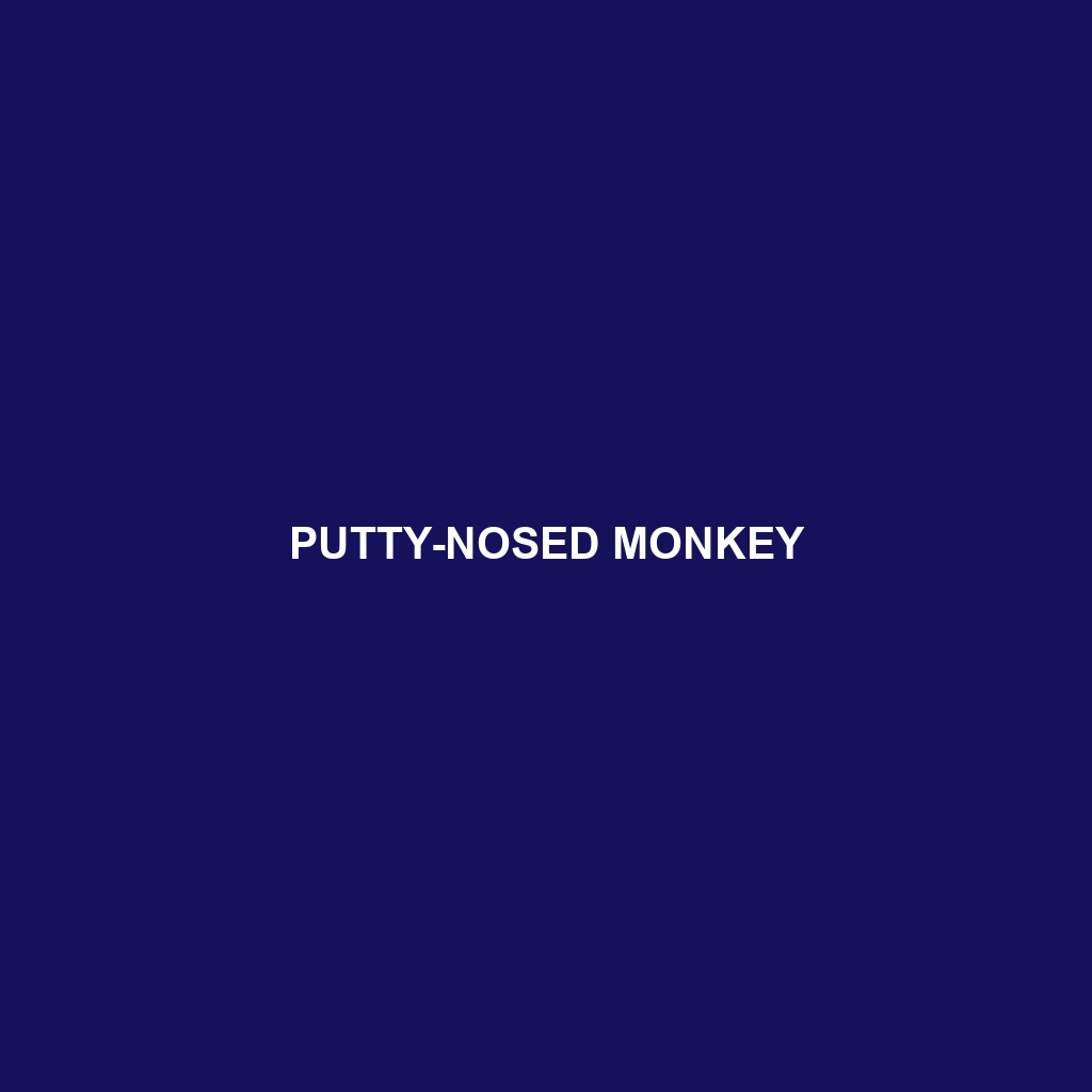 Putty-nosed Monkey