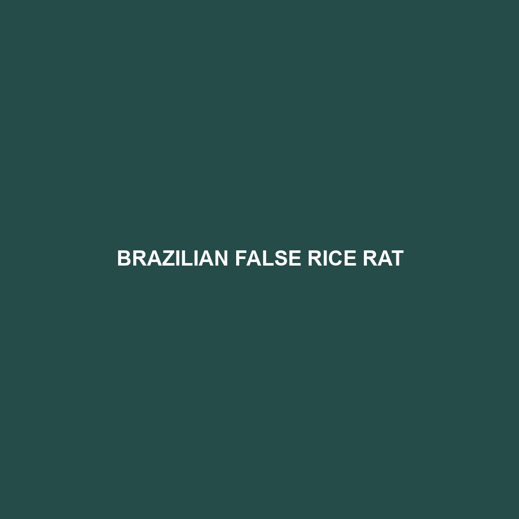 Brazilian False Rice Rat