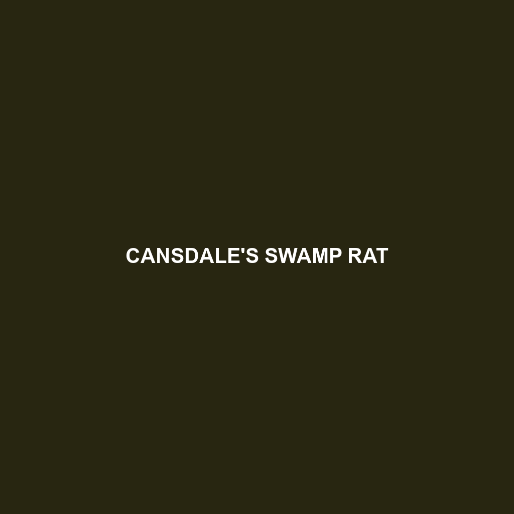 Cansdale's Swamp Rat