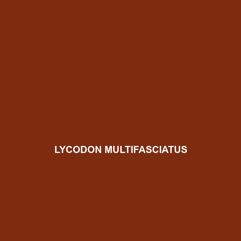 Lycodon muelleri