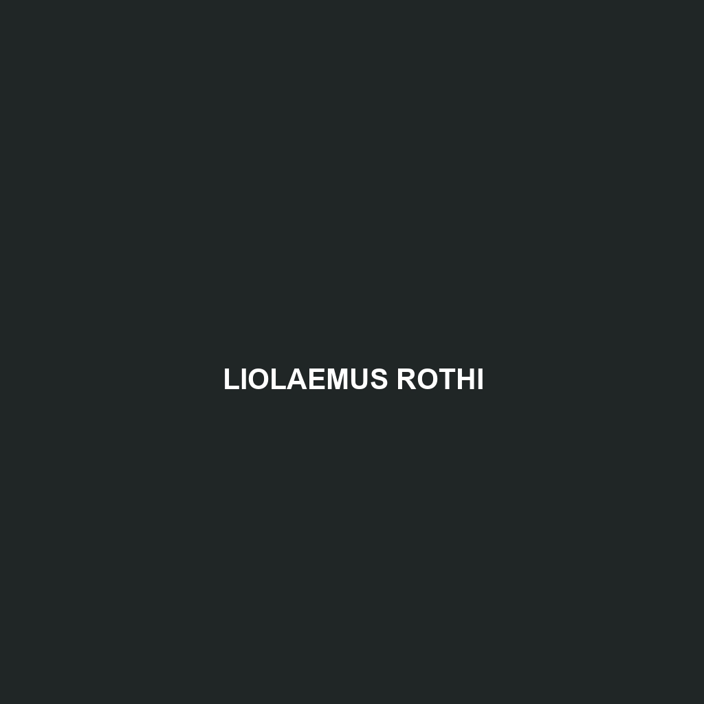 Liolaemus rothi