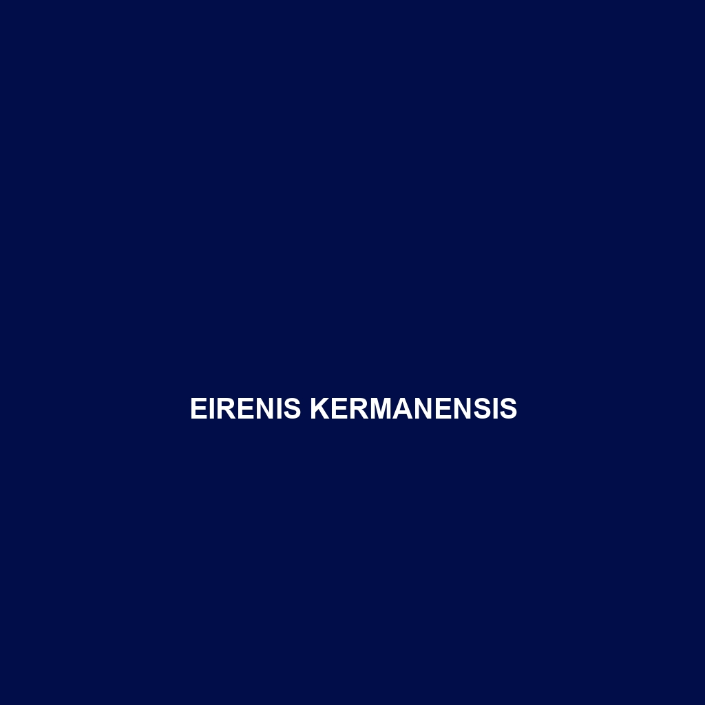 Eirenis hakkariensis