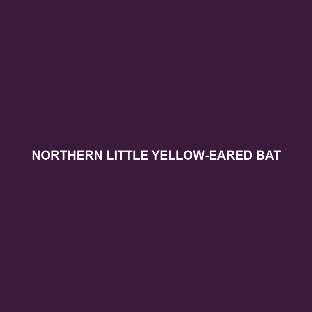 Northern Little Yellow-eared Bat