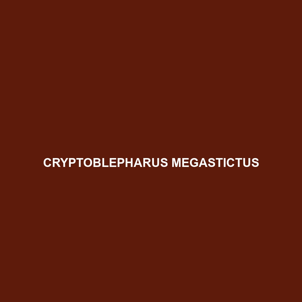 Cryptoblepharus megastictus