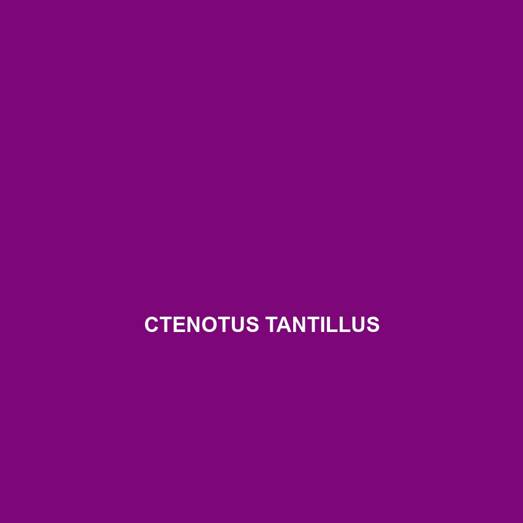 Ctenotus tantillus