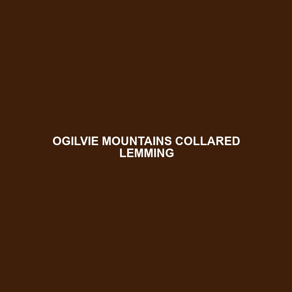 Ogilvie Mountains Collared Lemming