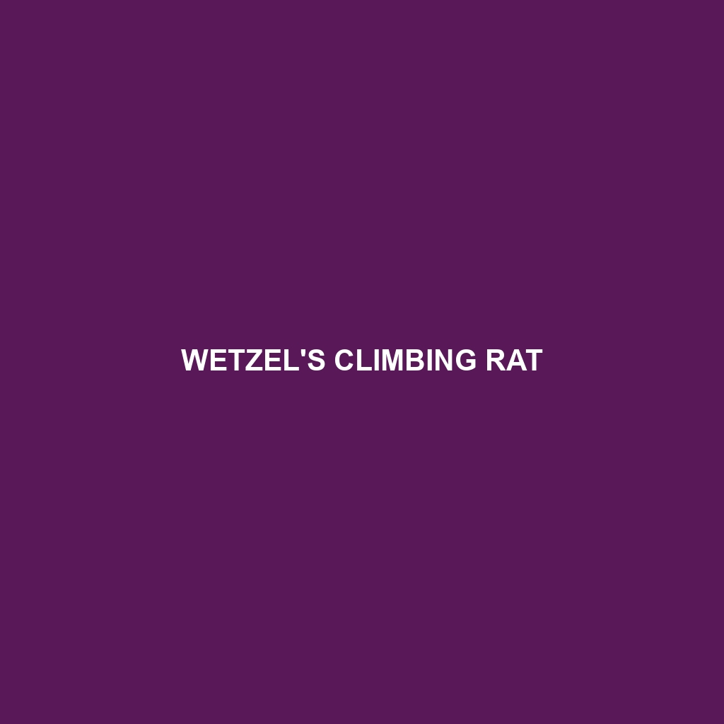 Wetzel's Climbing Rat