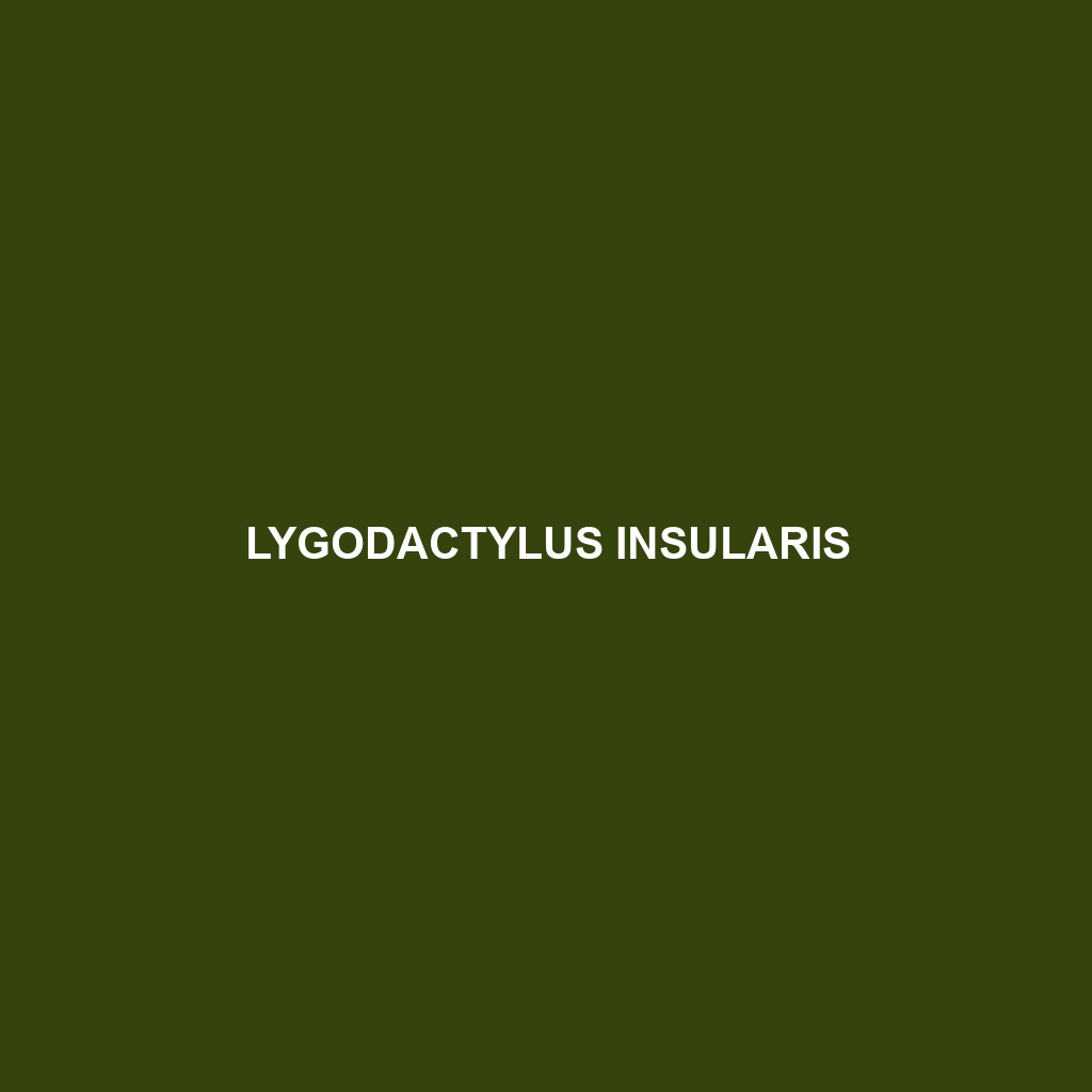 Lygodactylus insularis