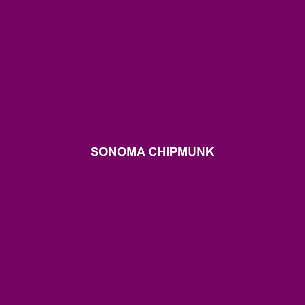 Sonoma Chipmunk