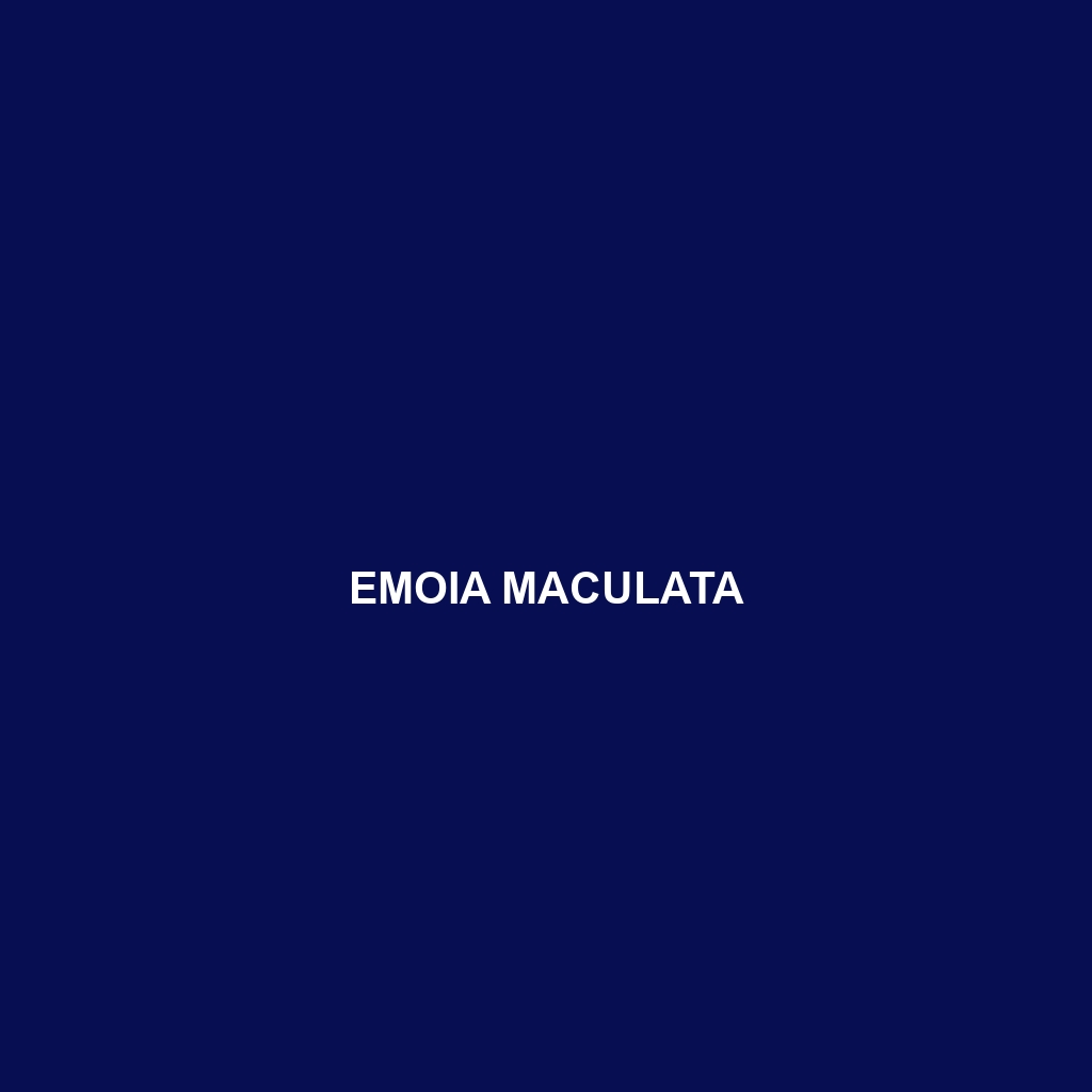 Emoia maculata