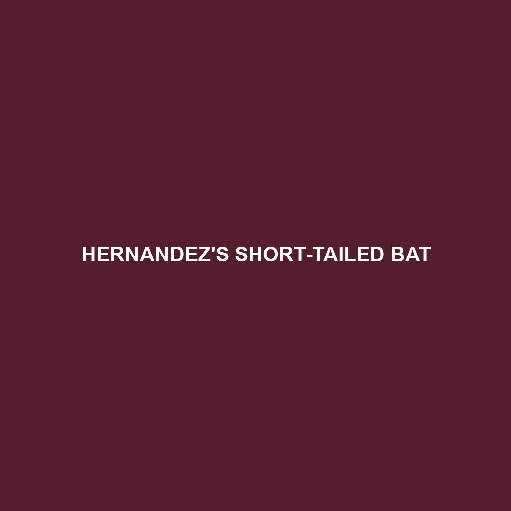 Hernandez's Short-tailed Bat