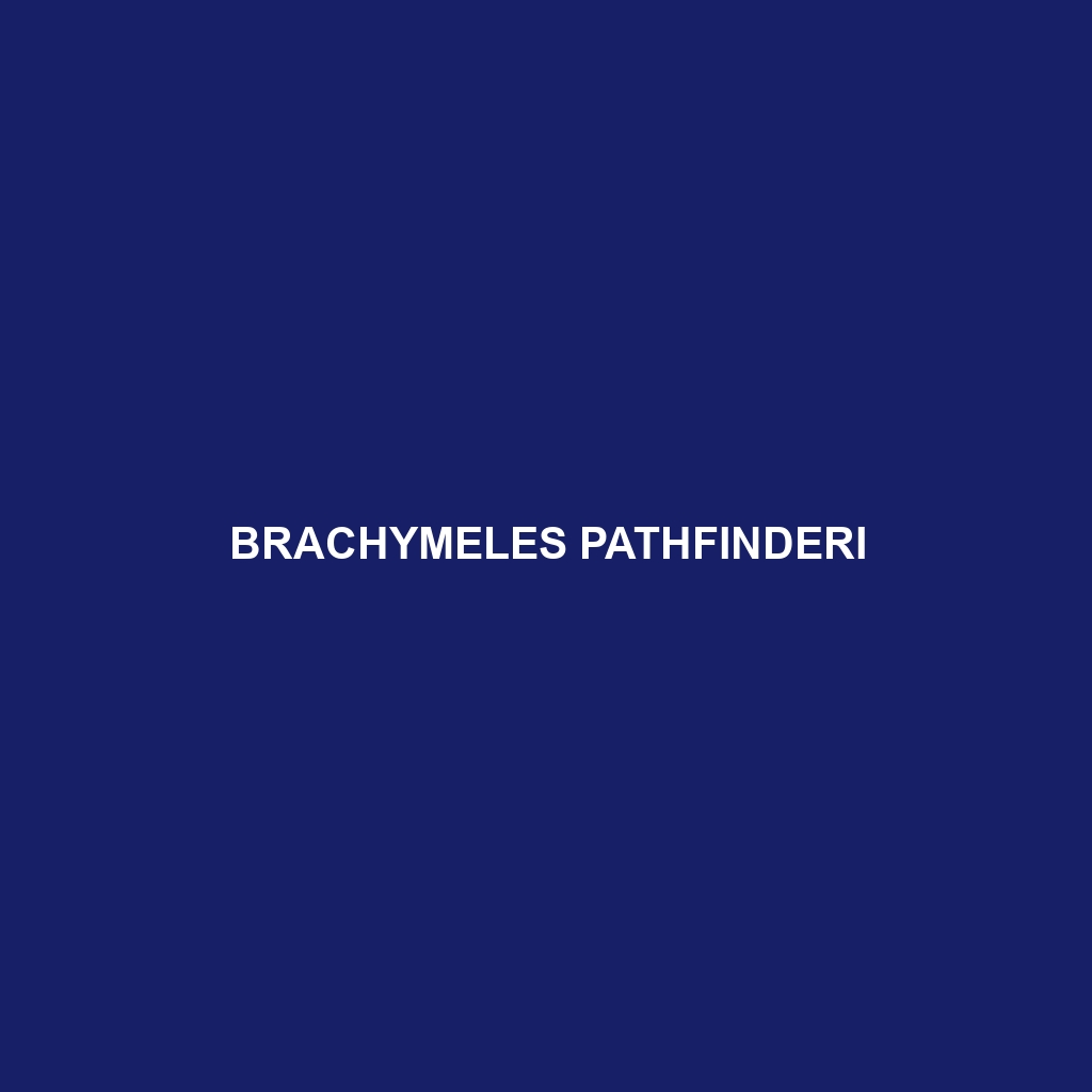 Brachymeles pathfinderi