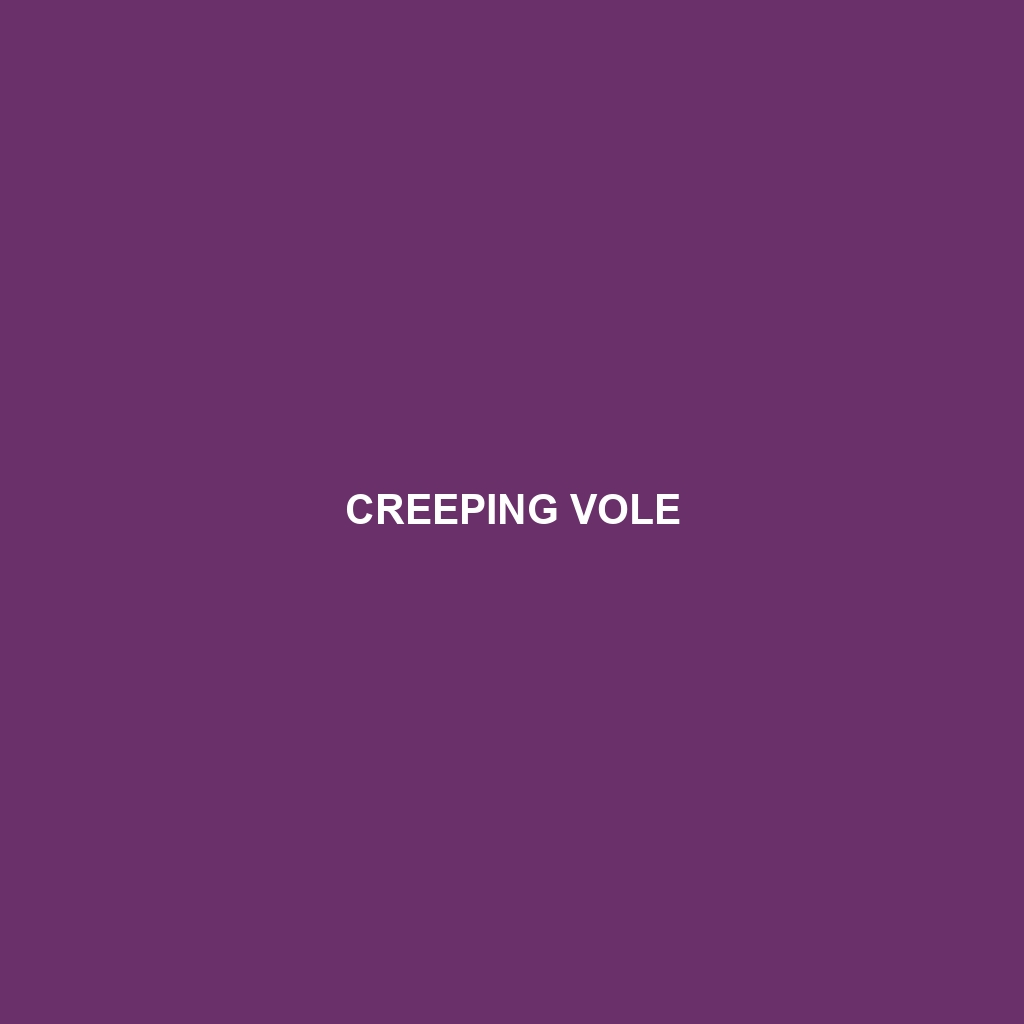 Creeping Vole