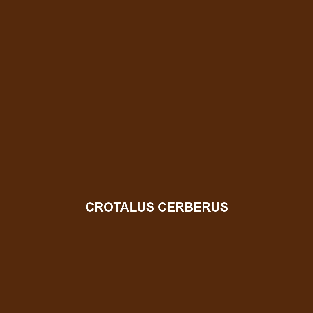 Crotalus cerberus