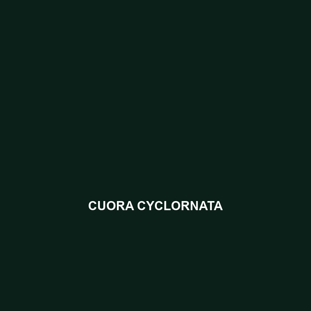 Cuora cyclornata