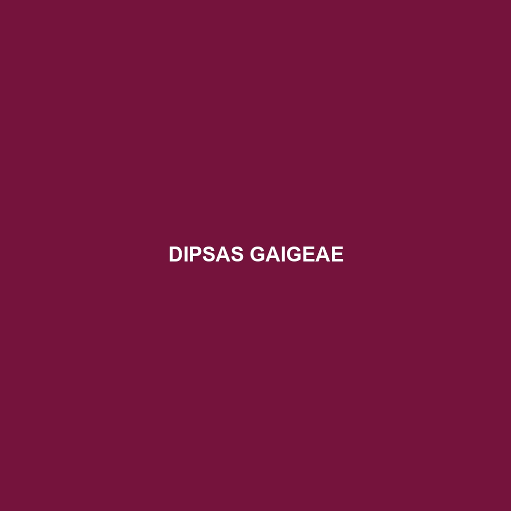 Dipsas gaigeae