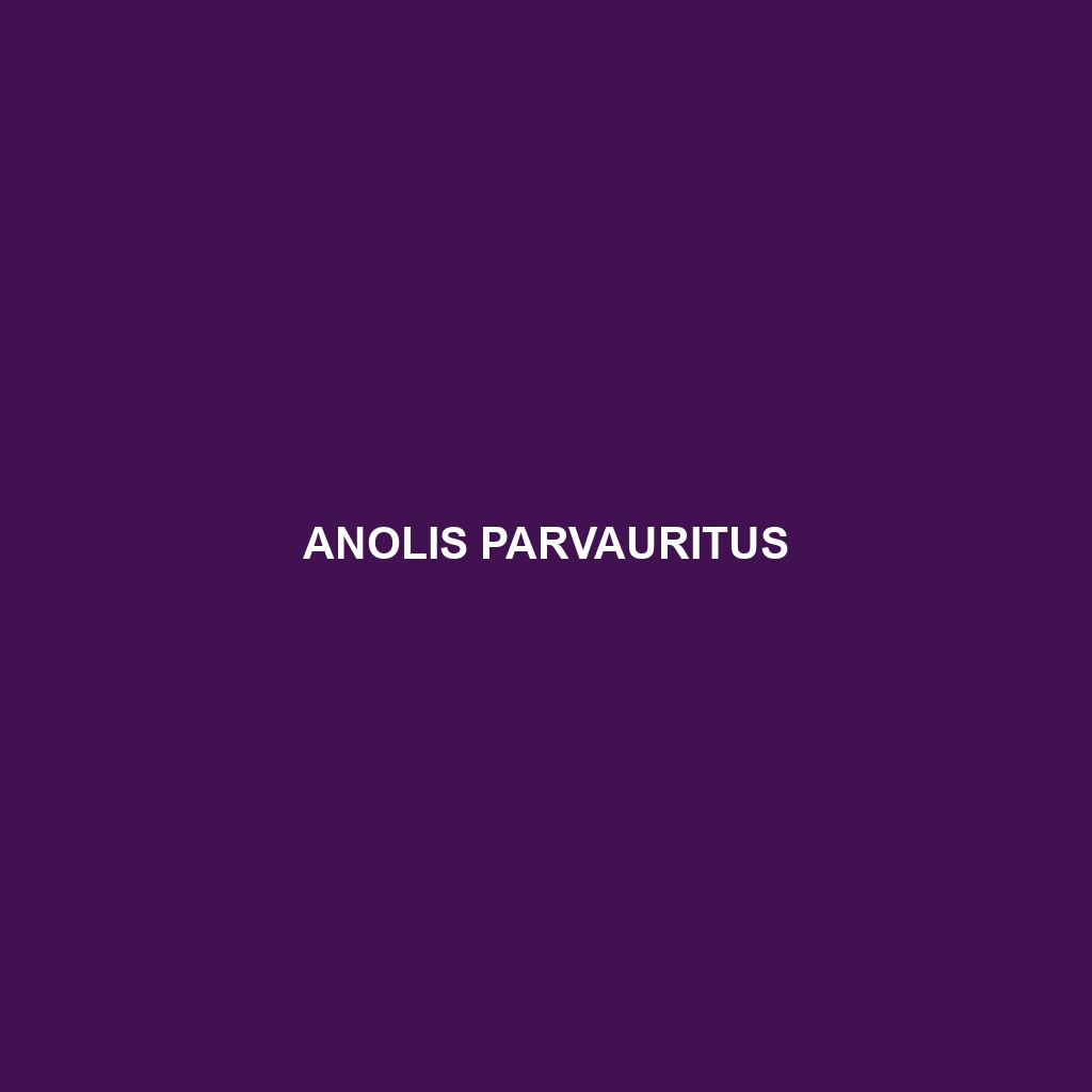 Anolis parvauritus