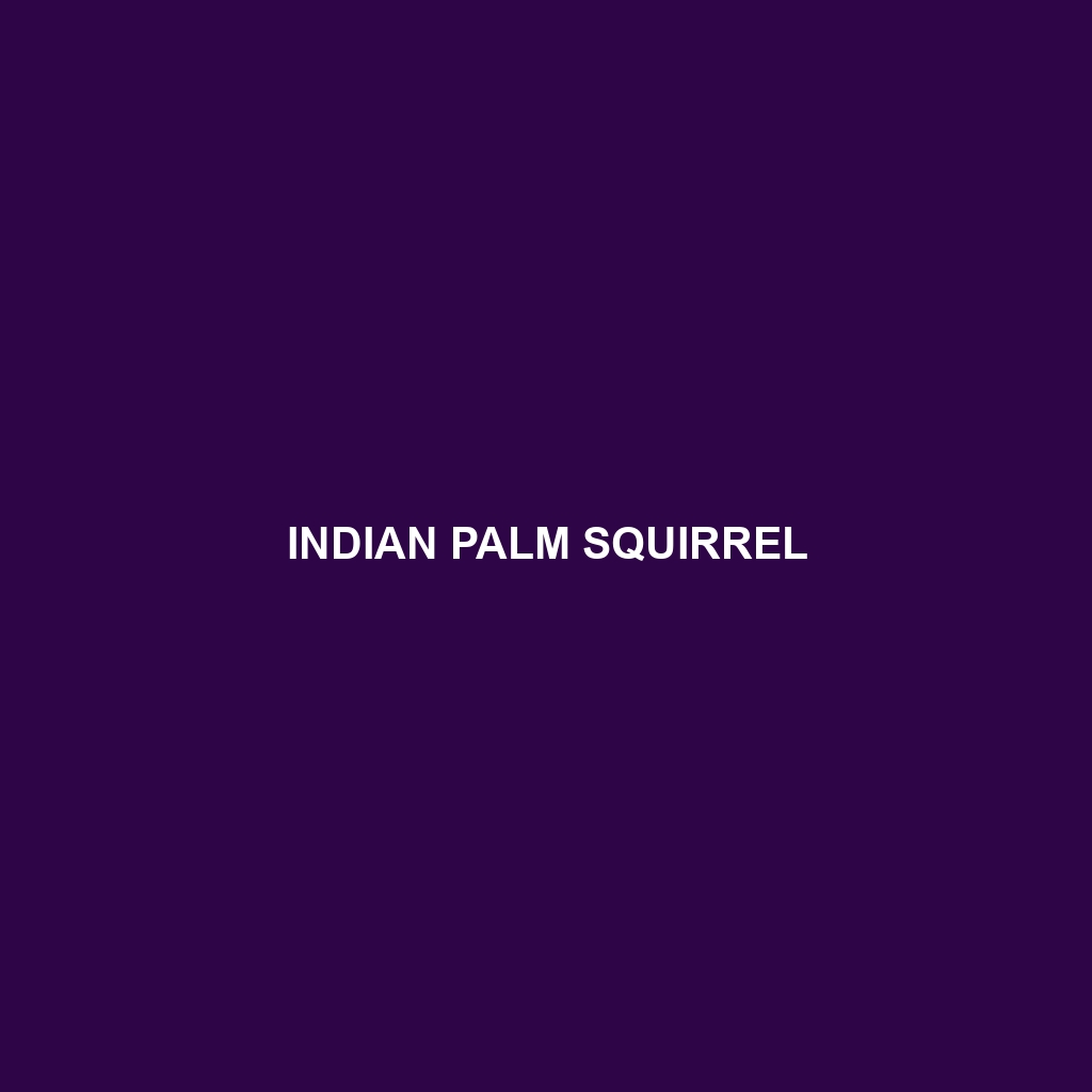 Indian Palm Squirrel