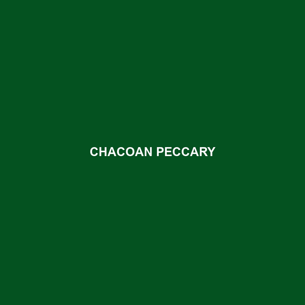 Chacoan Peccary