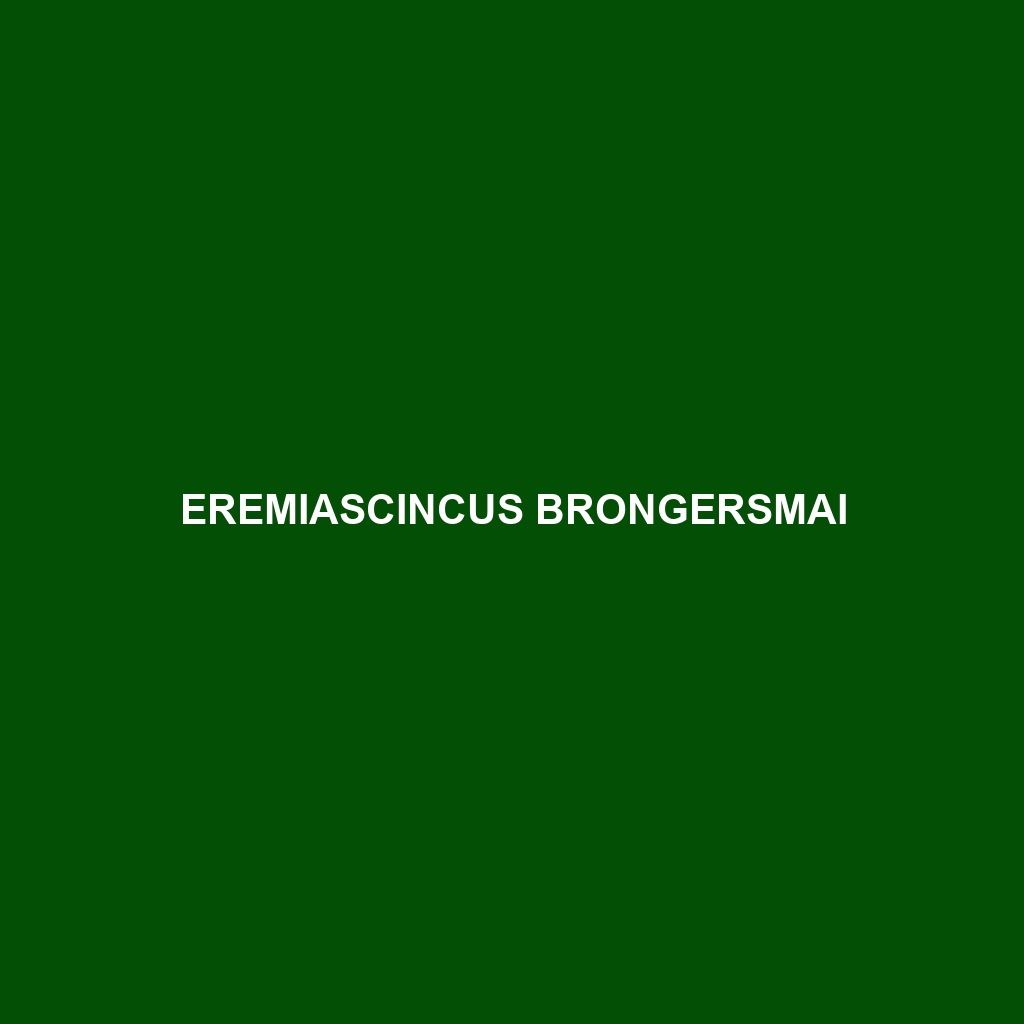 Eremiascincus brongersmai