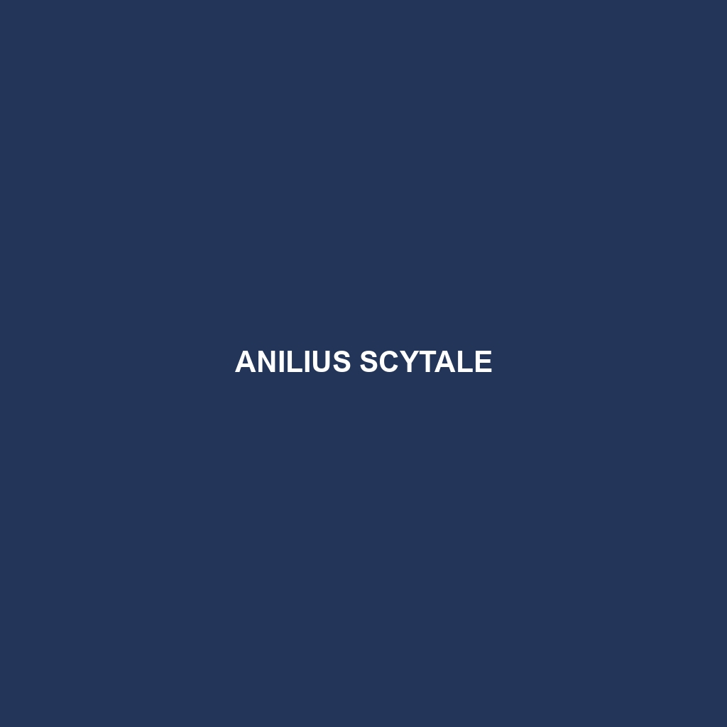 Anilius scytale