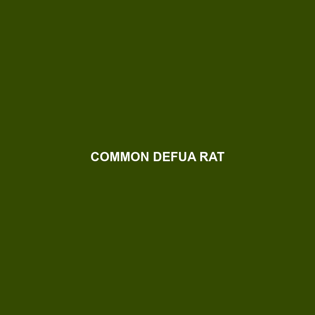 Common Defua Rat