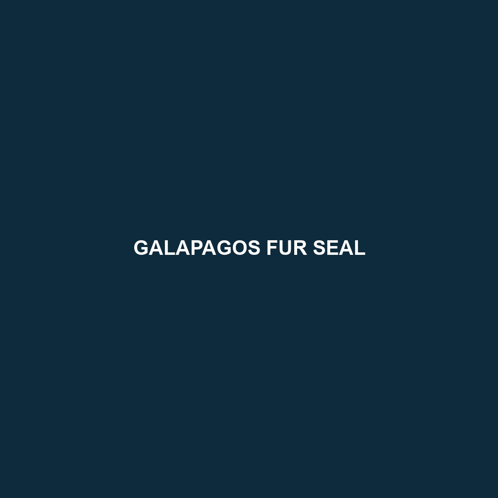 Galapagos Fur Seal