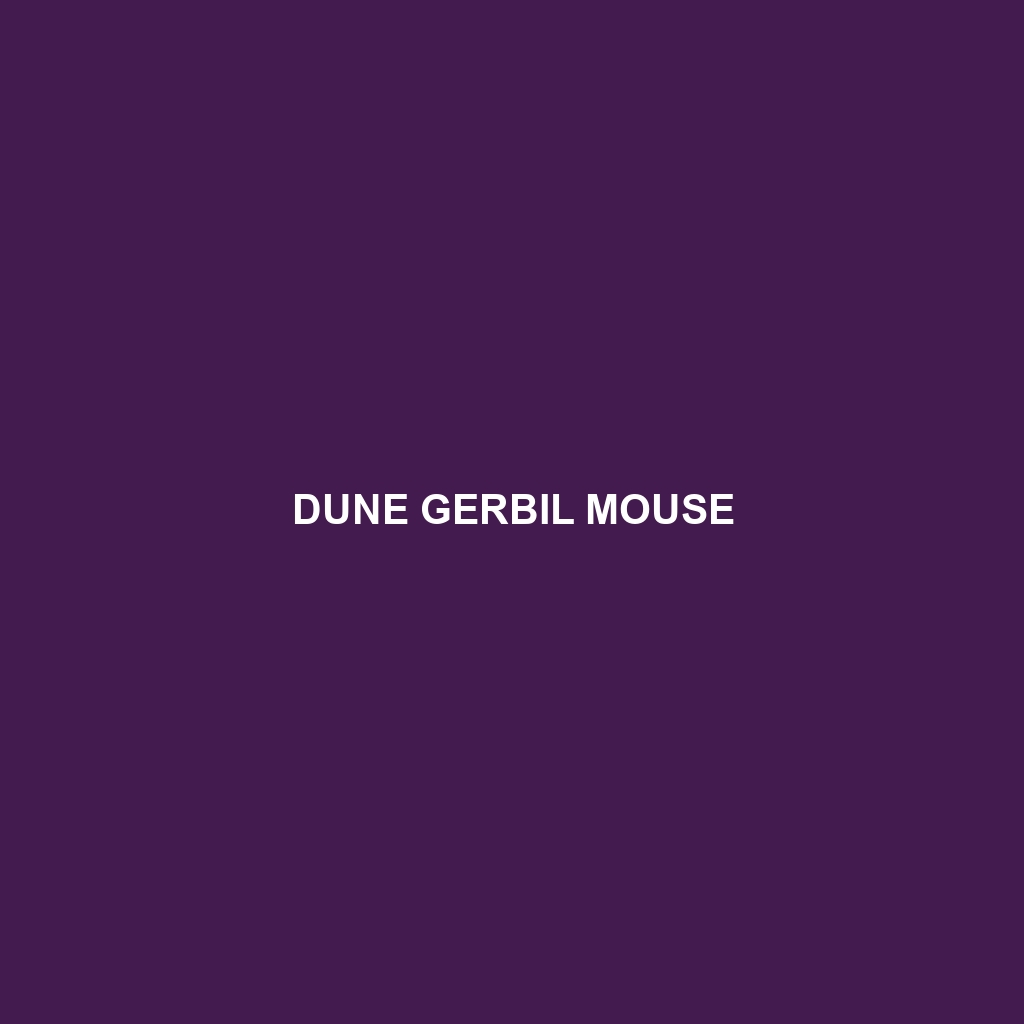 Dune Gerbil Mouse