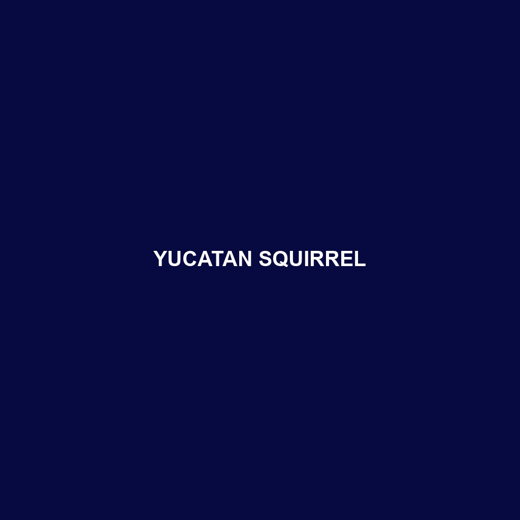 Yucatan Squirrel