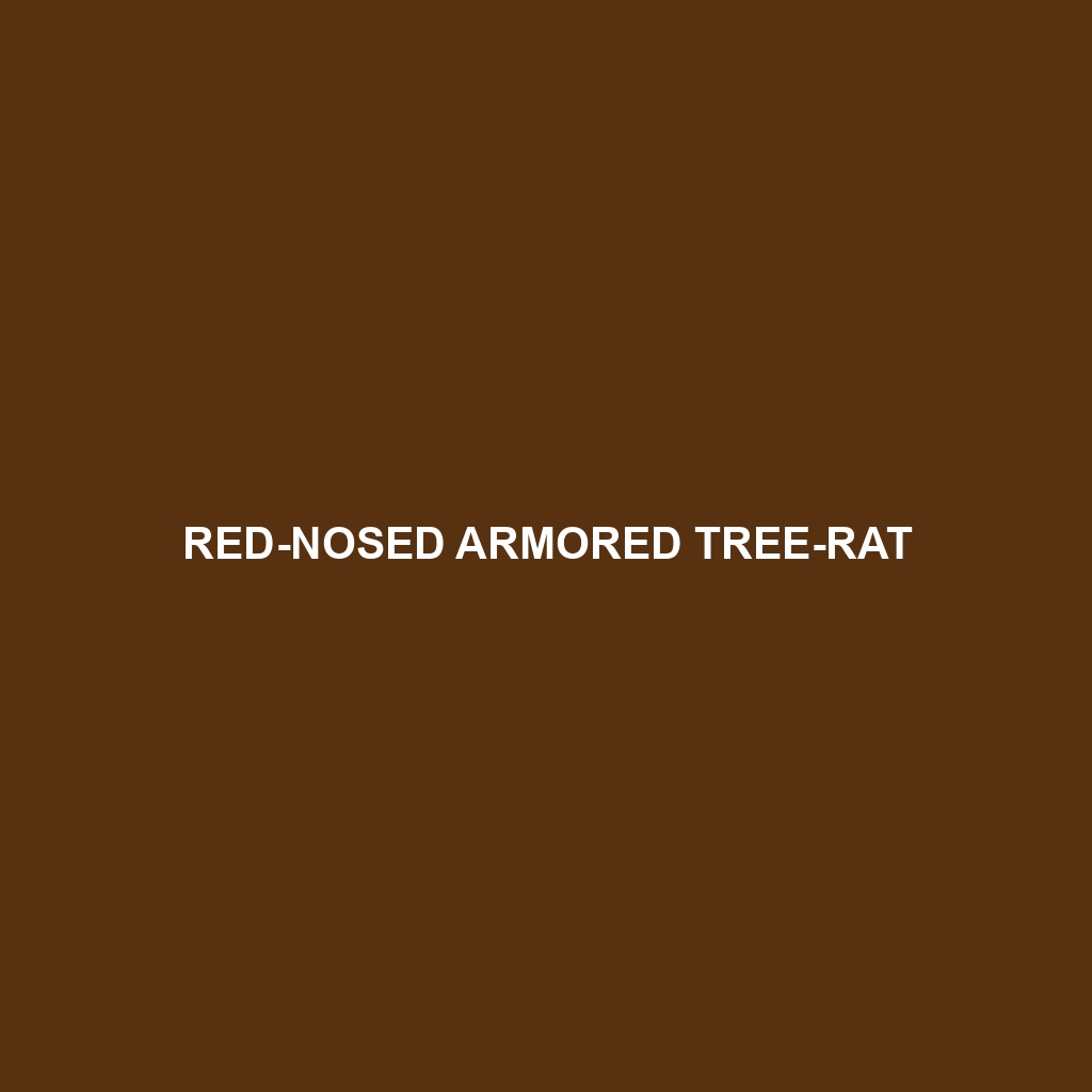 Red-nosed Armored Tree-rat