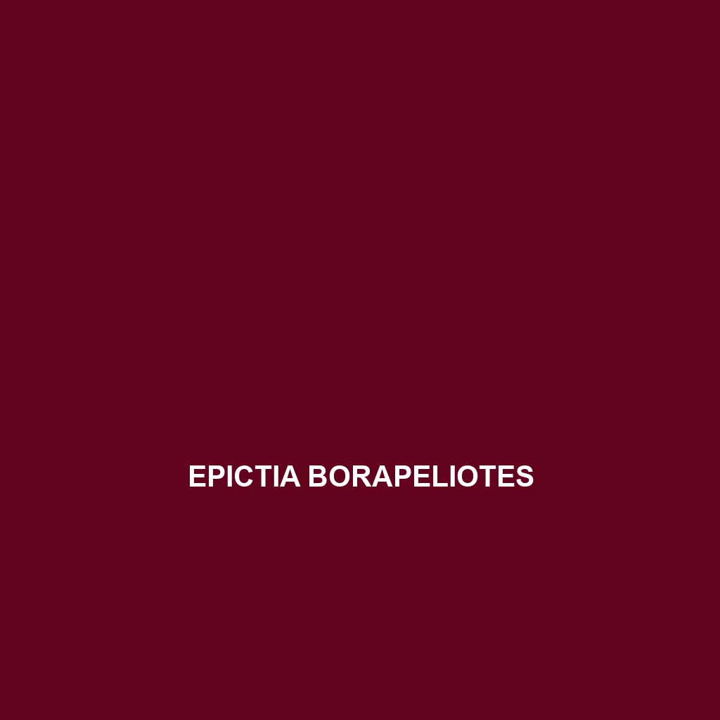 Epictia borapeliotes