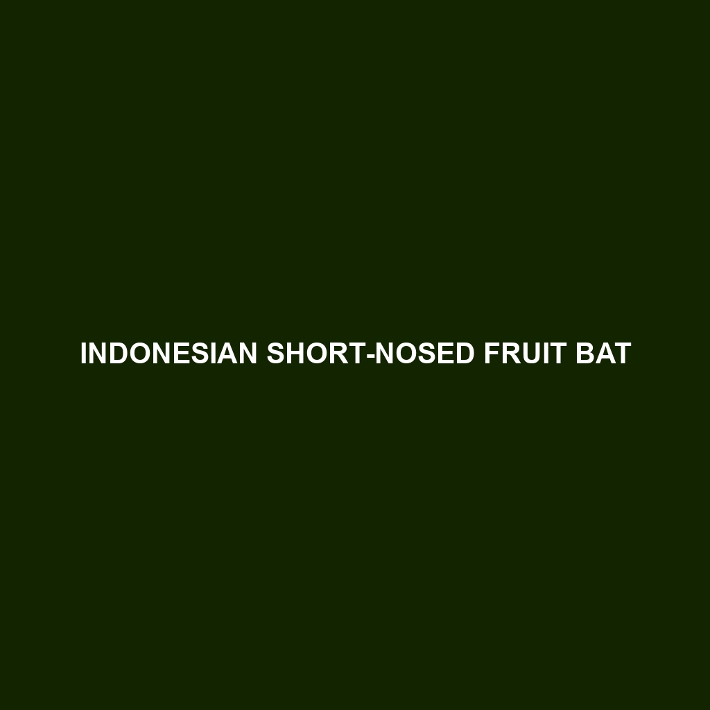 Indonesian Short-nosed Fruit Bat