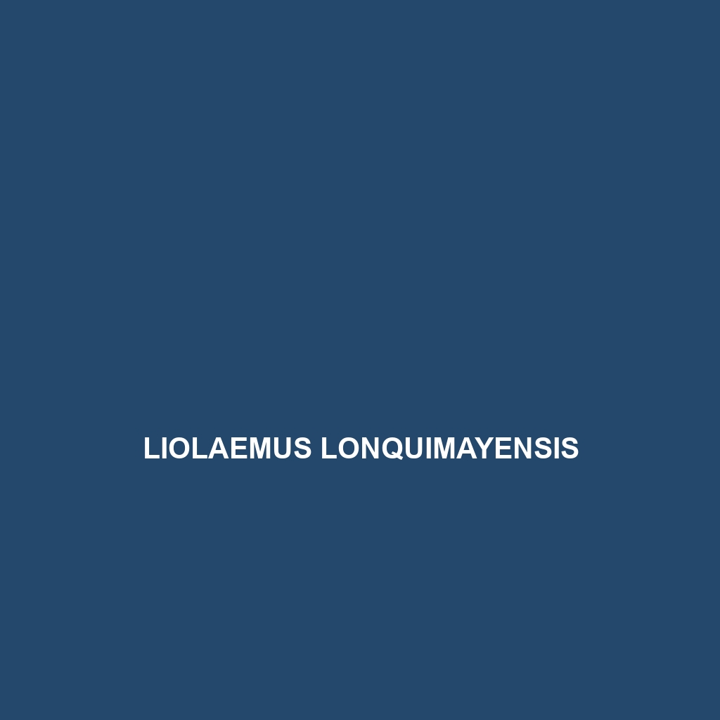 Liolaemus loboi