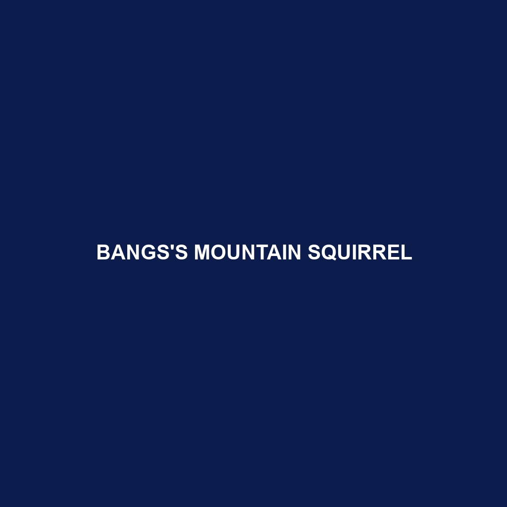 Bangs's Mountain Squirrel