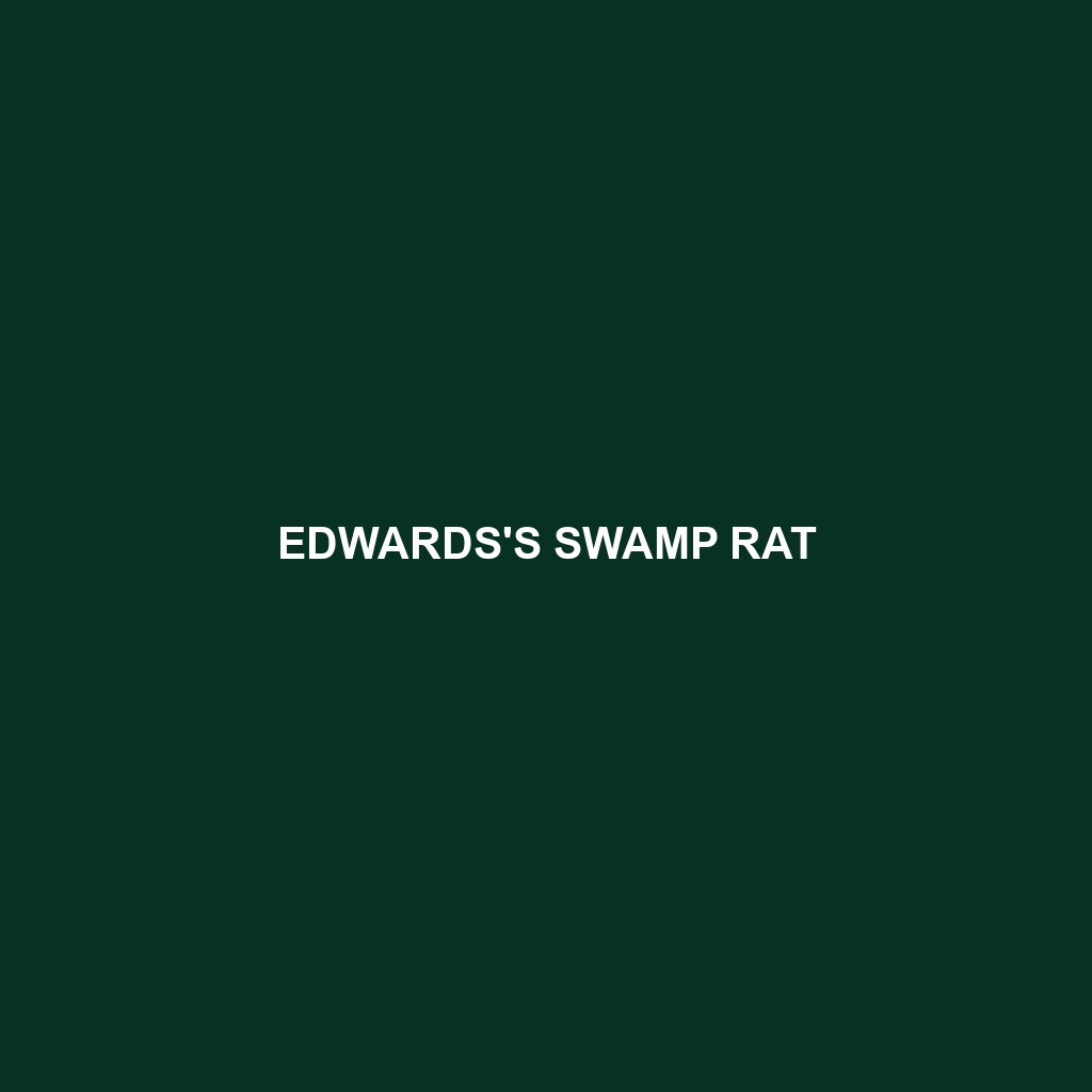 Edwards's Swamp Rat