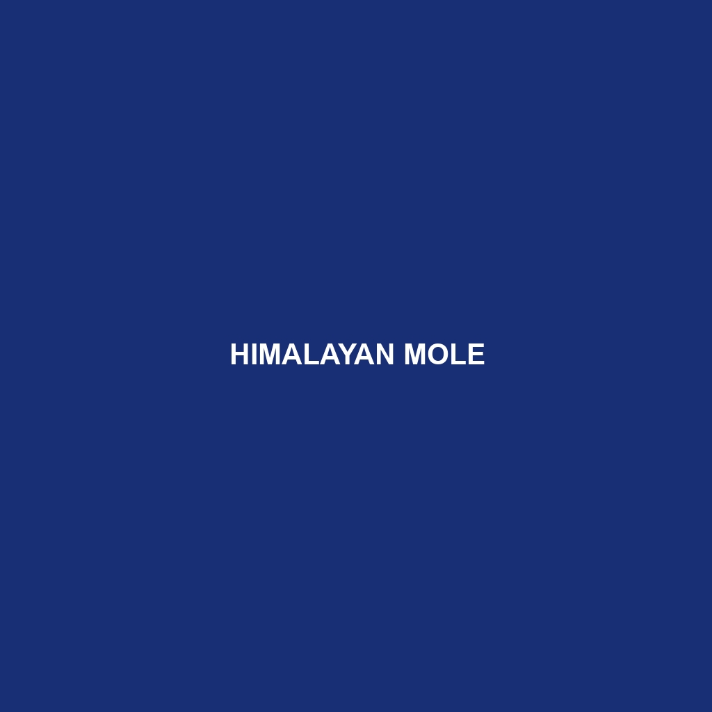 Himalayan Mole