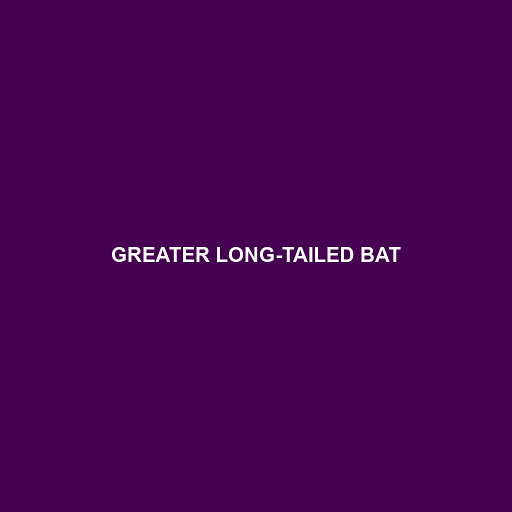 Greater Long-tailed Bat