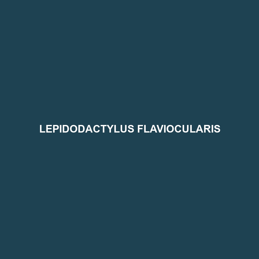 Lepidodactylus flaviocularis