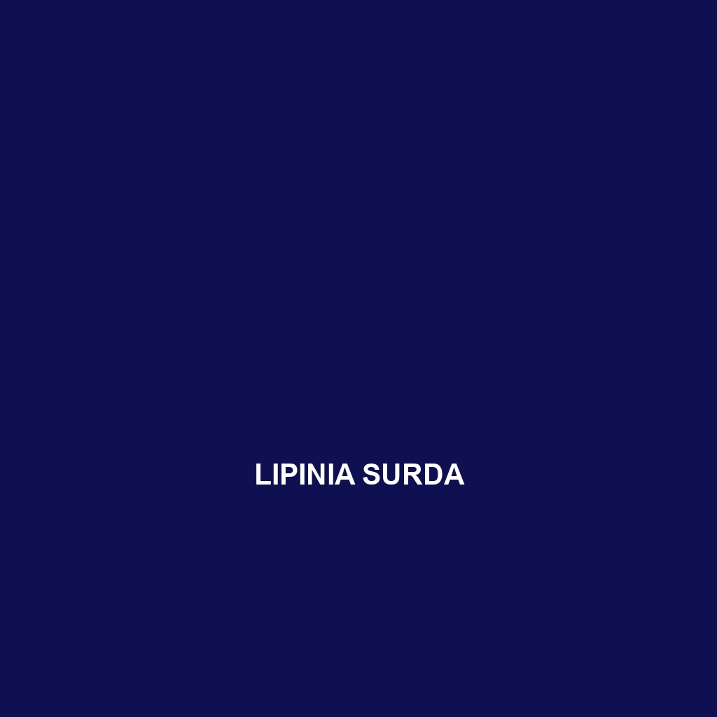 Lipinia surda