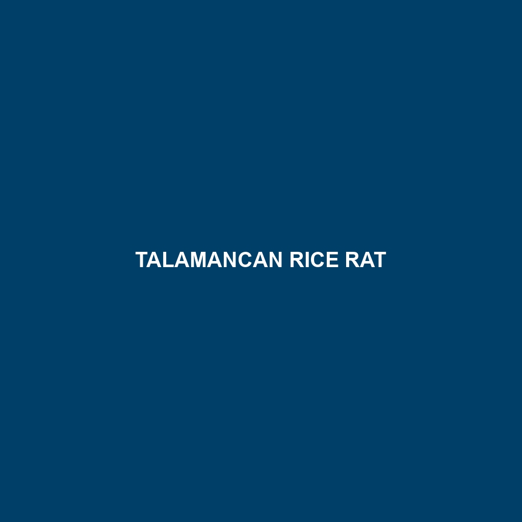 Talamancan Rice Rat